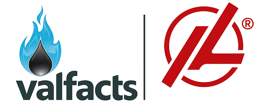 Valfacts B.V. and Lixin Valve Group: A Strong and Promising Cooperation